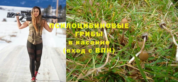 тгк Алзамай