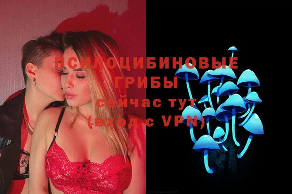 тгк Алзамай