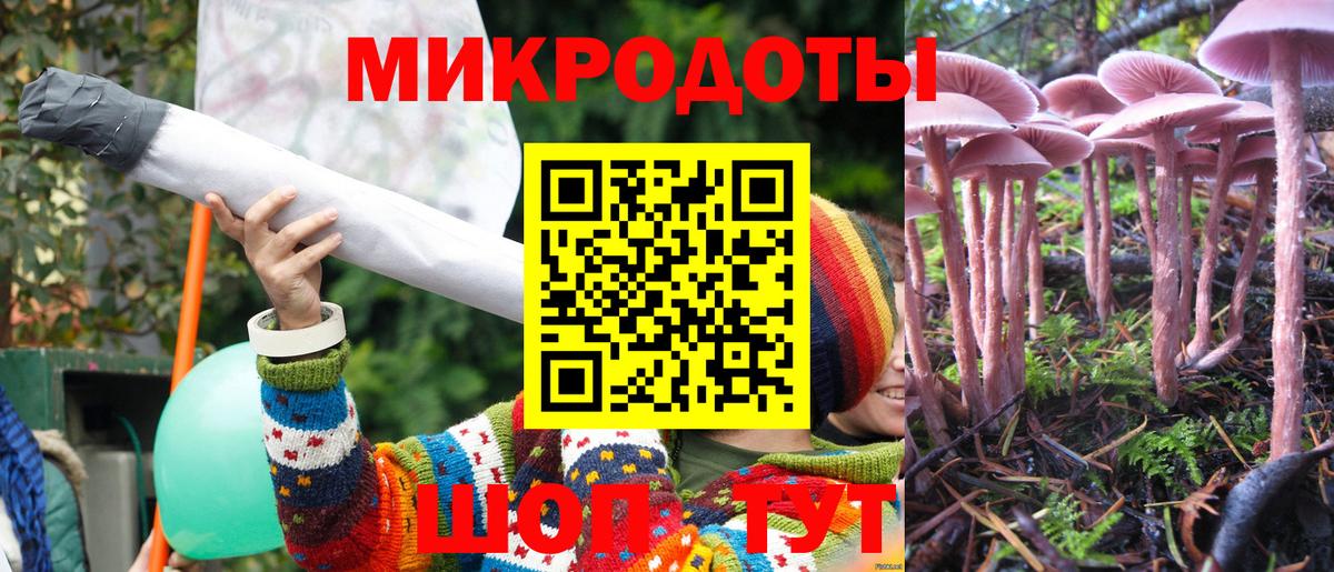 Галлюциногенные грибы Cubensis  Вход с VPN  Ижевск 