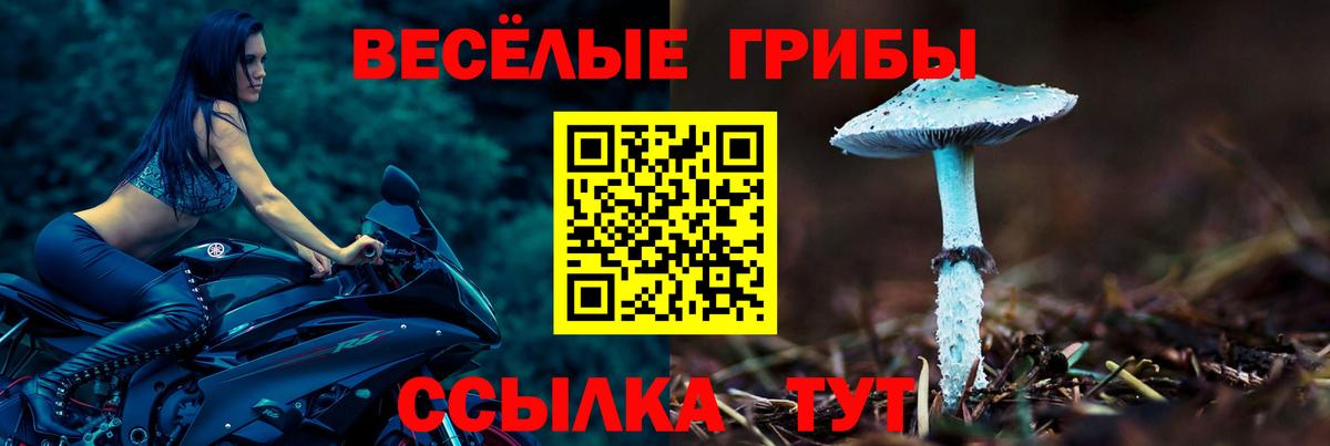 Псилоцибиновые грибы Cubensis Ижевск